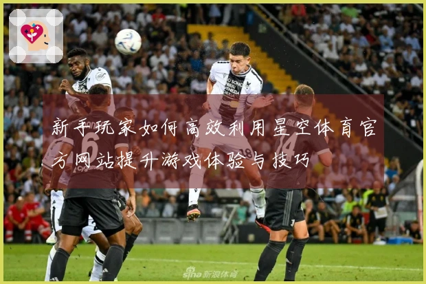 新手玩家如何高效利用星空体育官方网站提升游戏体验与技巧