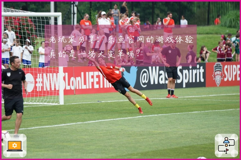 老玩家分享：乐鱼官网的游戏体验真的是一场大变革吗？